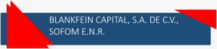 Blankfein Capital